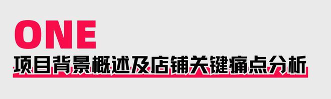 助力商家提升店铺层级月销售突破60WAG旗舰厅入口火蝠案例 定制营销策略(图3)