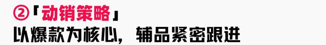 助力商家提升店铺层级月销售突破60WAG旗舰厅入口火蝠案例 定制营销策略(图10)