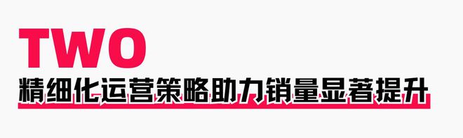 助力商家提升店铺层级月销售突破60WAG旗舰厅入口火蝠案例 定制营销策略(图8)